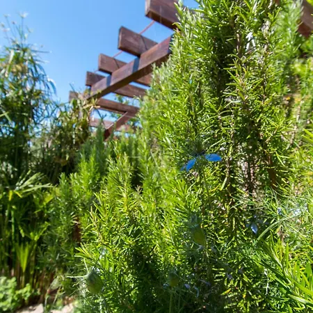 Apartment Delfin Prvic Sepurine