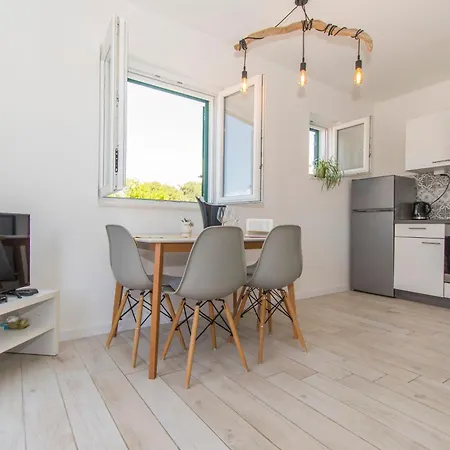 Delfin Prvic Sepurine