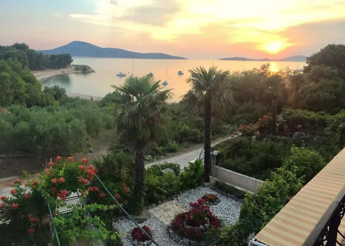 Delfin * פרוויץ' שפורינה