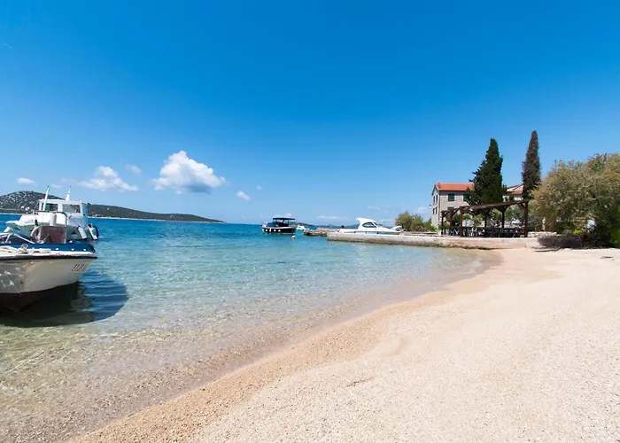 Delfin Prvic Sepurine