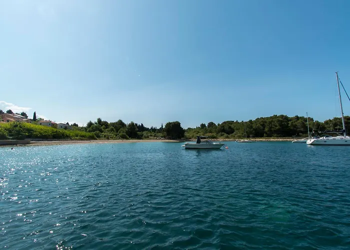 Delfin * Prvic Sepurine