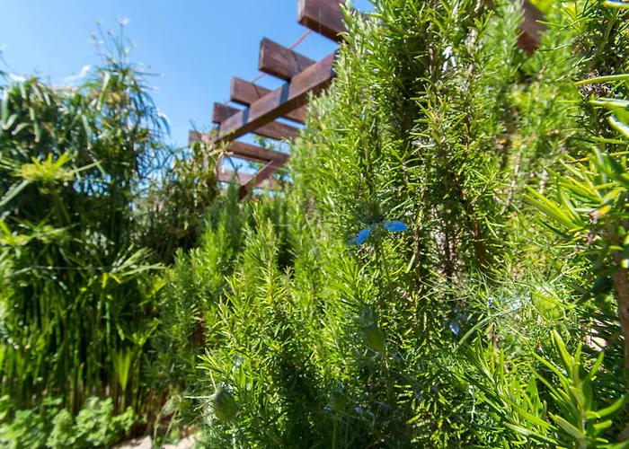 דירה Delfin פרוויץ' שפורינה