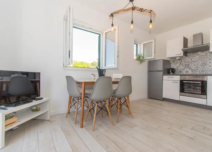 Delfin פרוויץ' שפורינה