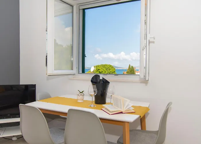 Delfin פרוויץ' שפורינה