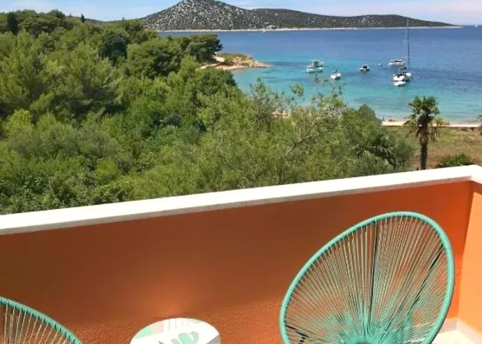 Delfin Prvic Sepurine