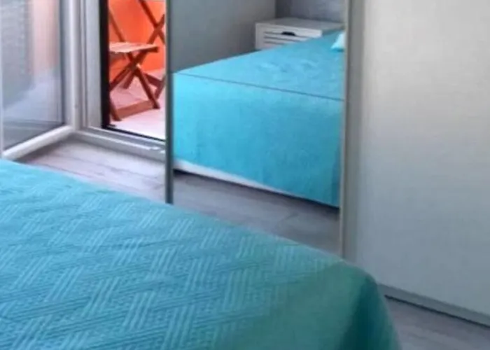 Apartment Delfin Prvic Sepurine